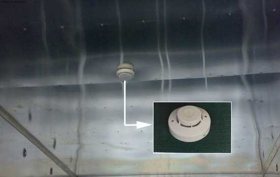 �x�ӸП����̽�y��